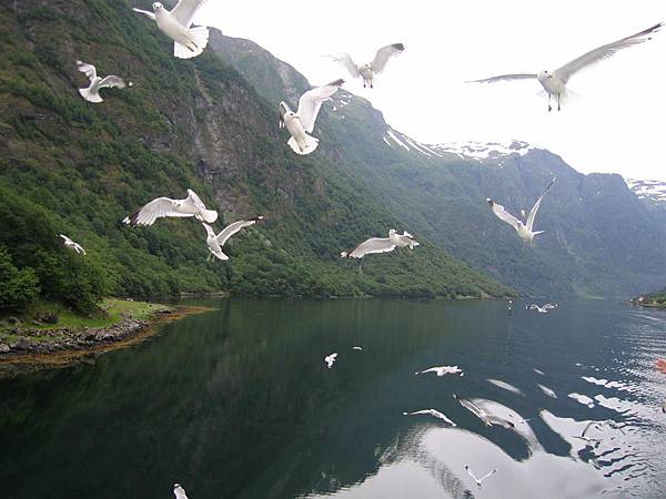 Sognefjord (8)