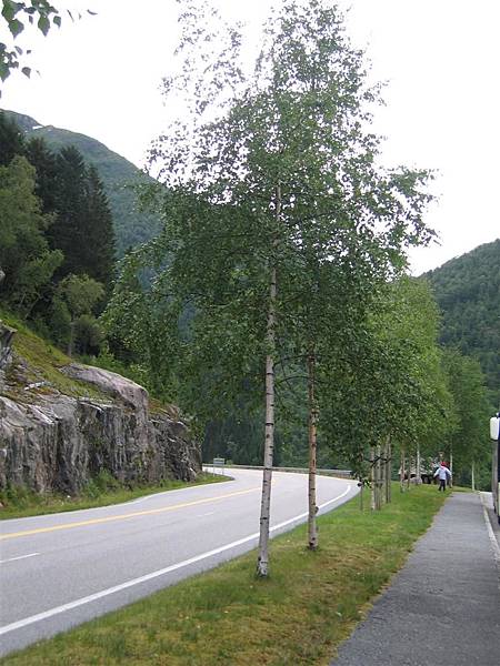 Sognefjord (18)