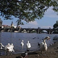 Charles Bridge  (8).JPG