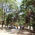 Grand Park Tirana (1).JPG