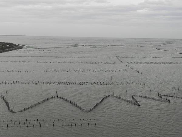 台南七股蚵架 (9).JPG