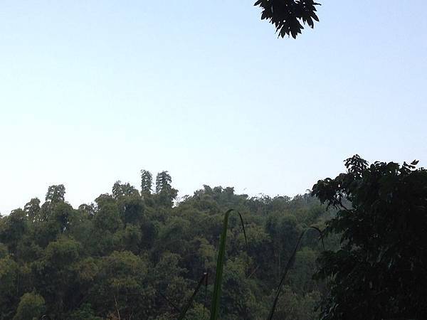 20140101 虎山登山步道 (6).JPG