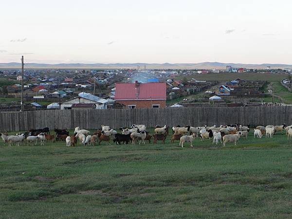 哈爾和林 (6).jpg