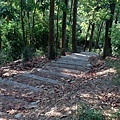 九九峰健行步道 (6).JPG