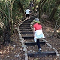 九九峰健行步道 (7).JPG