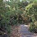 九九峰健行步道 (9).JPG