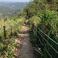 九九峰健行步道 (16).JPG