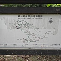 桂林村 (3).jpg