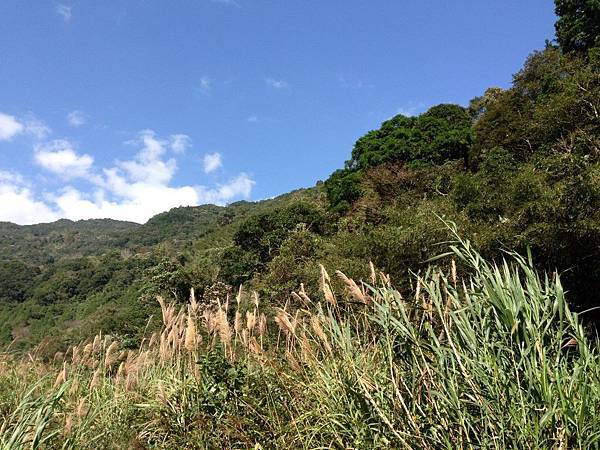 烏來福山 (30).JPG