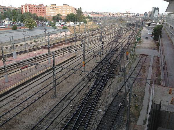 Atocha train Station (17).JPG