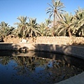 Siwa Spring of Cleopatra (2).JPG