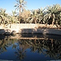 Siwa Spring of Cleopatra (3).JPG