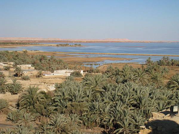 Siwa Temple of the Oracle(11).JPG