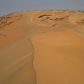 Bahariya (7).JPG