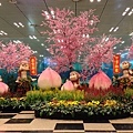 Changi Airport (3).JPG