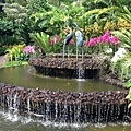 Singapore Botanic Gardens (12).JPG