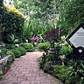 Singapore Botanic Gardens (19).JPG