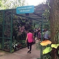 Singapore Botanic Gardens (21).JPG