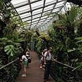 Singapore Botanic Gardens (24).JPG