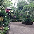 Singapore Botanic Gardens (27).JPG