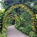 Singapore Botanic Gardens (28).JPG