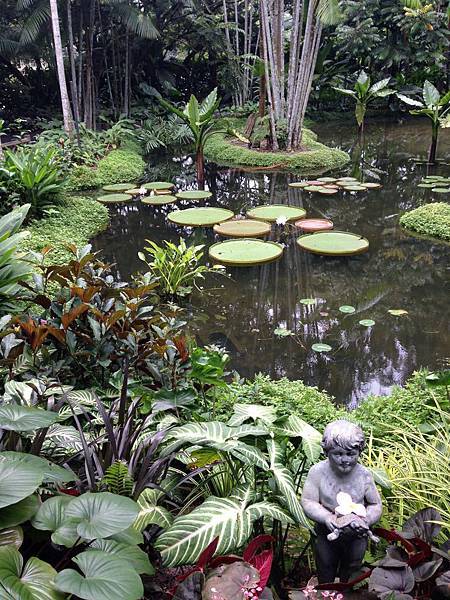 Singapore Botanic Gardens (29).JPG