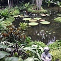 Singapore Botanic Gardens (29).JPG