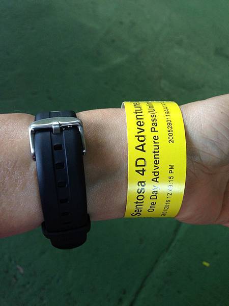 4D Adventureland (3).JPG