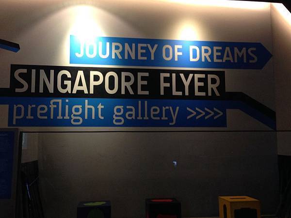 Singapore Flyer (4).JPG