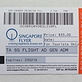 Singapore Flyer (20).JPG