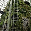 Cloud Forest (1).JPG