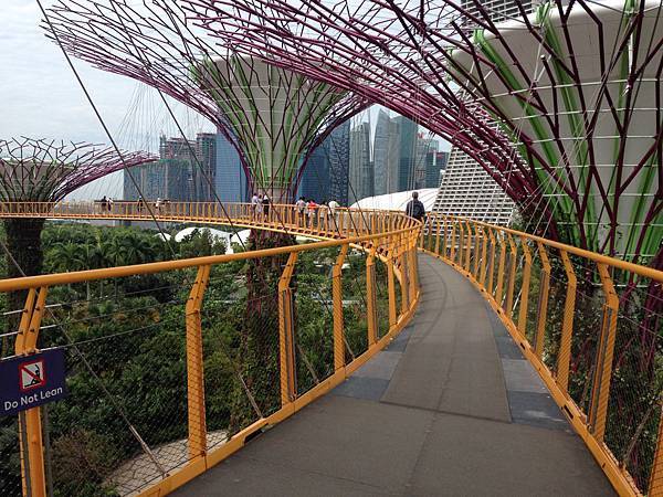 Skyway (5).JPG
