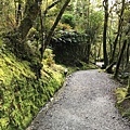 Lake Matheson (9).JPG