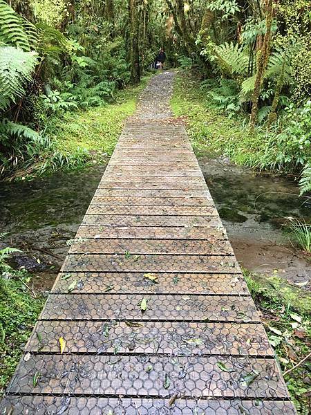 Swing Bridge Walk (11).JPG