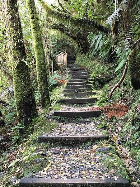 Swing Bridge Walk (15).JPG