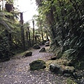 Te Weheka Walkway (1).JPG