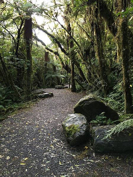 Te Weheka Walkway (2).JPG