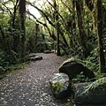 Te Weheka Walkway (2).JPG