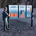 Fox Glacier ValleyWalk (3).JPG