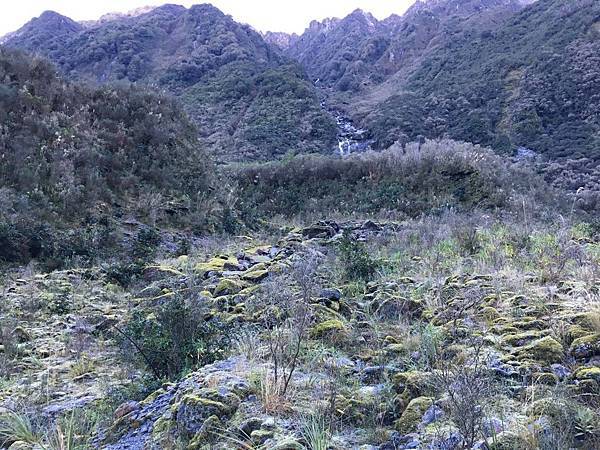 Fox Glacier ValleyWalk (7).JPG