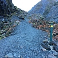 Fox Glacier ValleyWalk (8).JPG