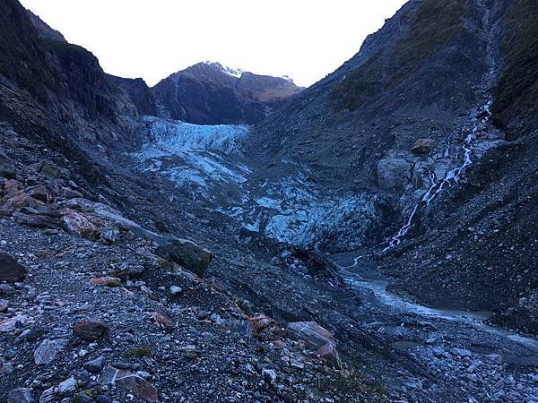 Fox Glacier ValleyWalk (9).JPG