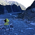 Fox Glacier ValleyWalk (10).JPG