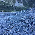 Fox Glacier ValleyWalk (15).JPG