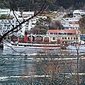 The Queenstown Gardens (20).JPG