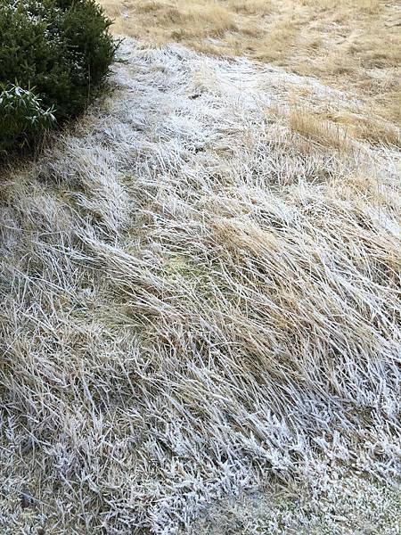 前往White Horse Campground (14).JPG