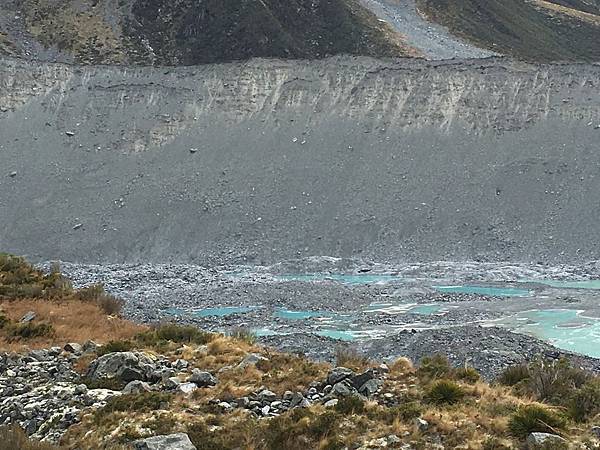 Kea Point Track (32).JPG