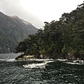  Doubtful Sound (59).JPG