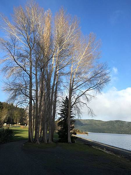 Lakeside Walk (9).JPG