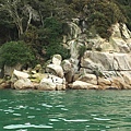 Coast of Abel Tasman NP (4).JPG